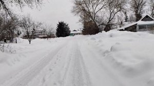 Кто куда,а я снова на мусорку.Мелкие шалунишки.