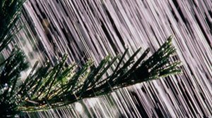 Познавательное видео. Энциклопедия для детей о календаре. Явления природы. Дождь