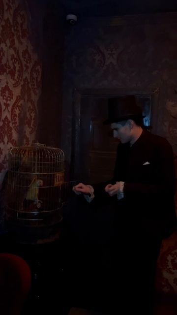 Харви, прости