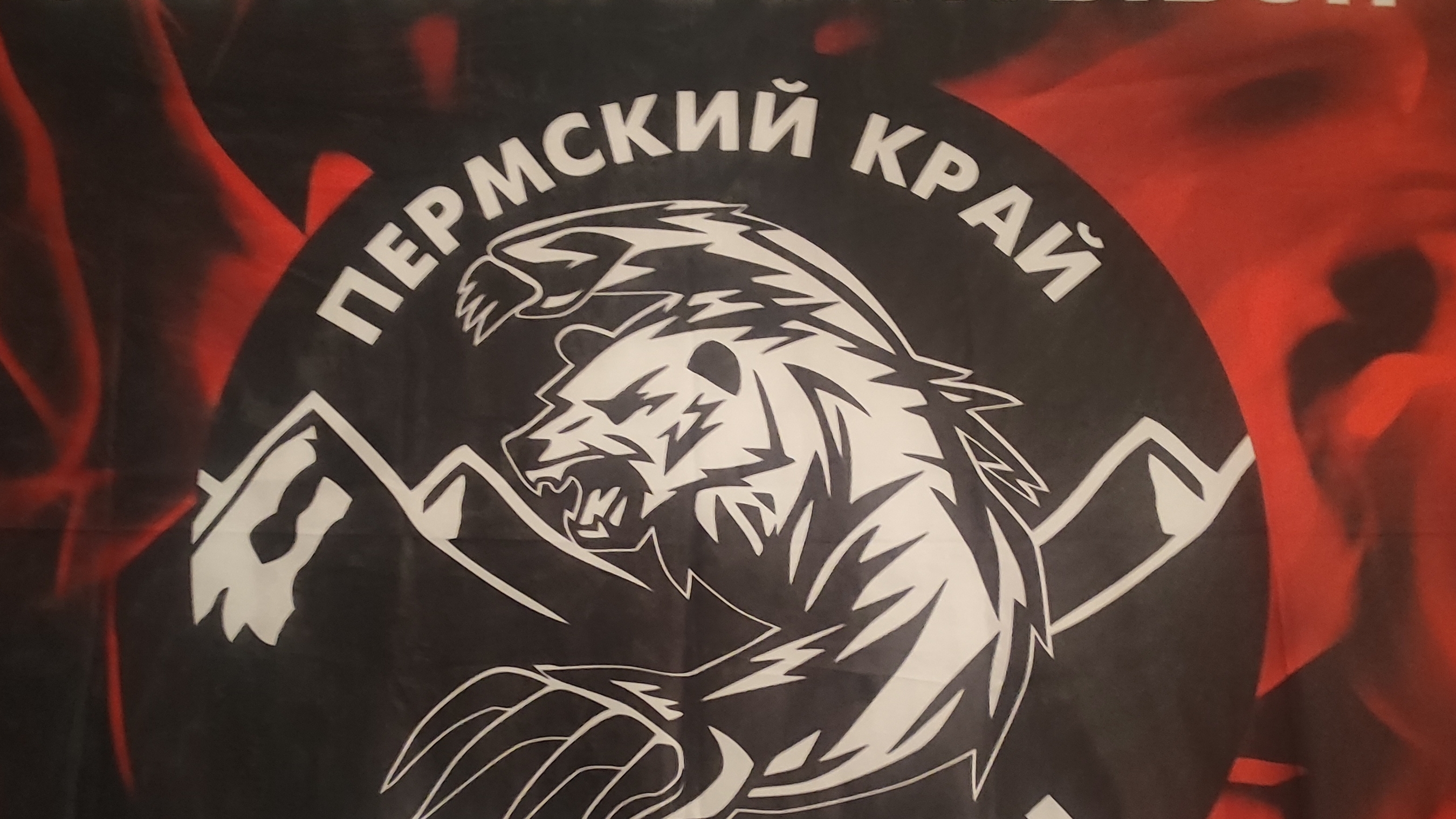СВО смотреть онлайн