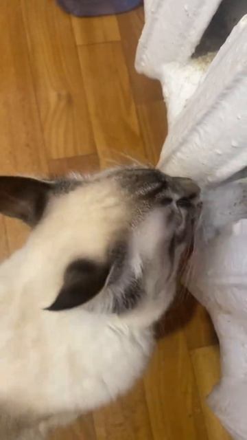 Нехватка железа 🤣