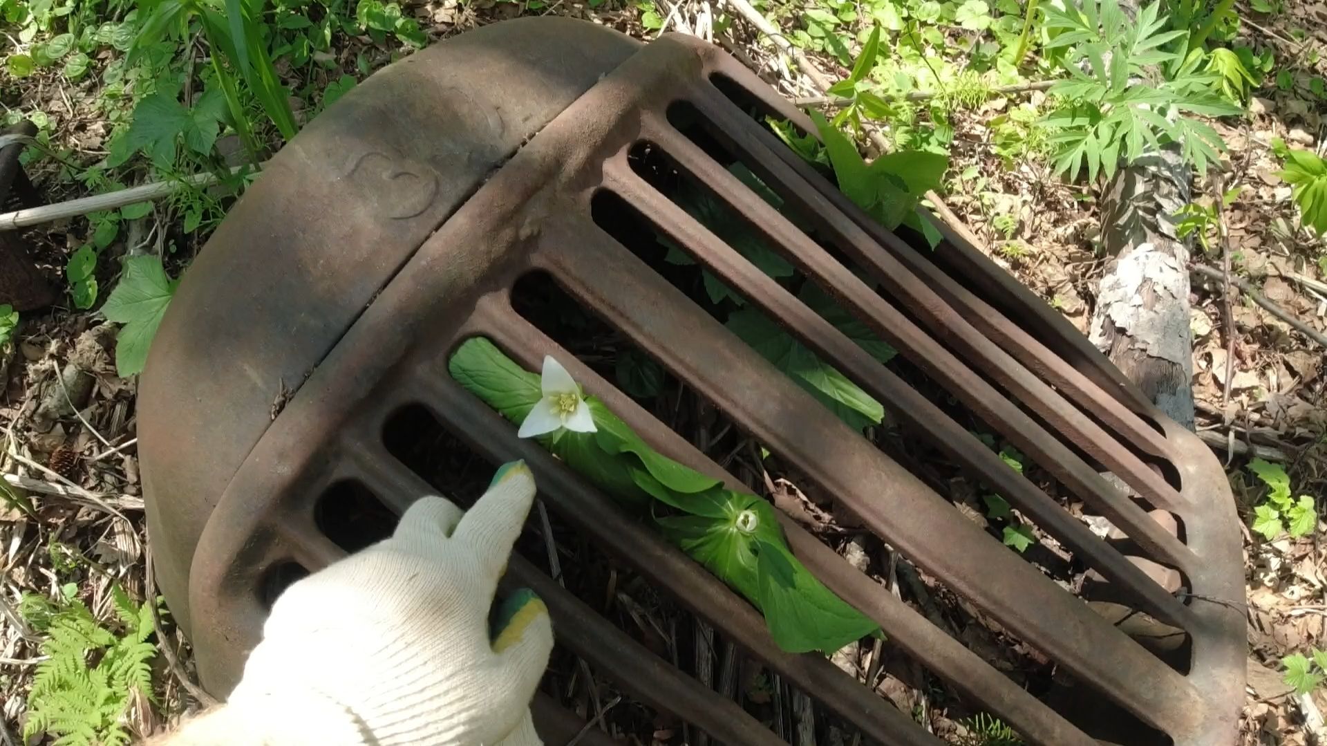 Интересное место 1 Часть & Металл среди красоты природы смотреть онлайн