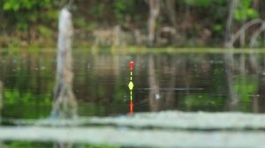 РЫБАЛКА НА ПОПЛАВОК НА МАХОВУЮ УДОЧКУ! Отвел душу после рабочего дня! Рыбалка из детства!