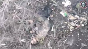 Воздушная разведка бригады Север-V обнаружила передвижение пехоты противника