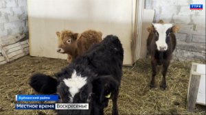 Вести недели 08.02.26 г.