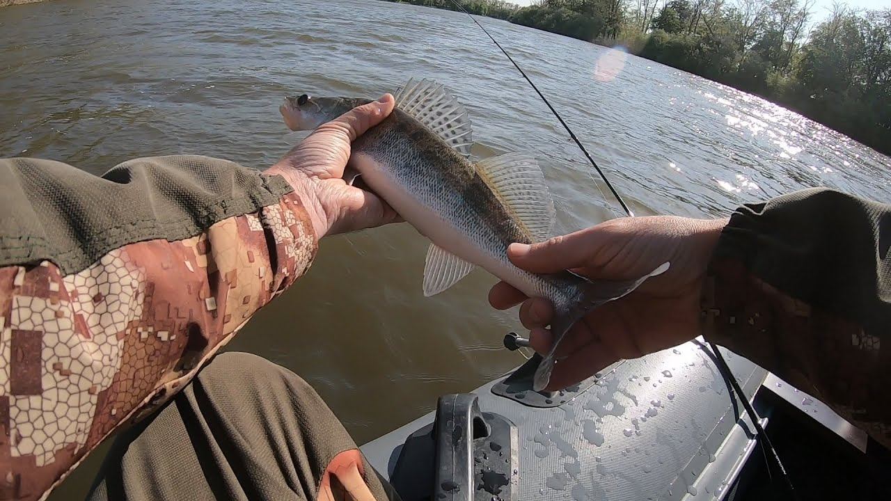 04/05/2024/ Поиск судака по эхолоту Lowrance.