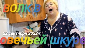Аналитический обзор на канал Ольга Уралочка live от 8 февраля 2026 года. Архив "Рассыпчатый рис..."