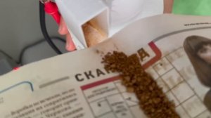 Циклонный фильтр - Школа 1589, Команда «Квакс»