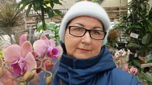 Садовый отдел Лемана Про (Леруа Мерлен). Комнатные растения. Февраль 2026 г.