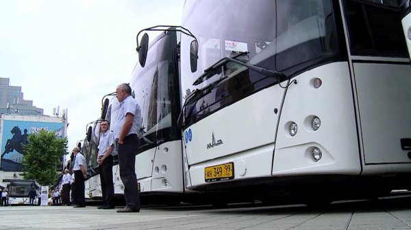 В Сочи запустили программу бесплатного обучения для водителей автобусов