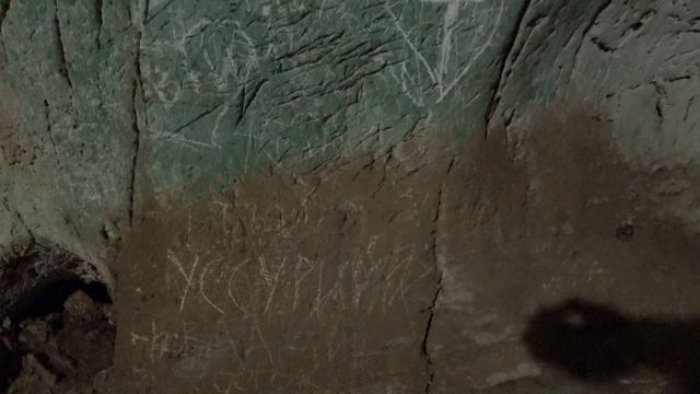 Голуби обезьяны