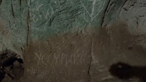 Голуби обезьяны