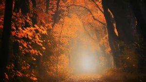 Алексей Сечин. Сухая шелковая осень.