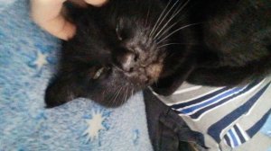 в чем мои ошибки