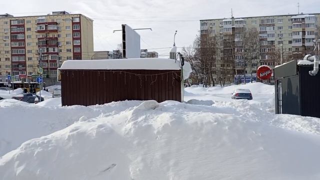 Удмуртская, д 302 смотреть онлайн