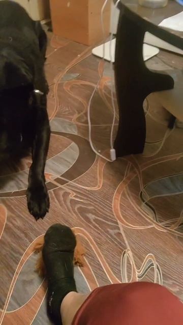 Шерлок  учит два слова наизусть.