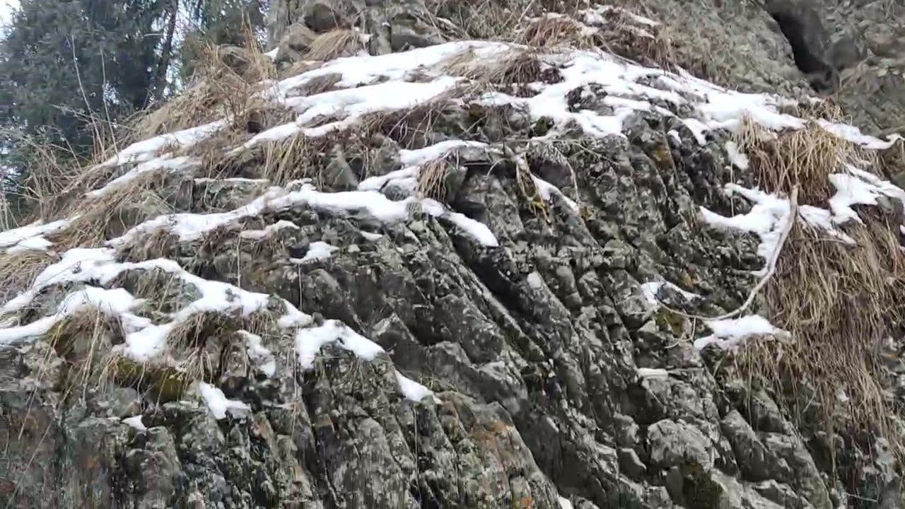 Родоновые источники Алма-Арасан, Елена Тяжева. Казахстан смотреть онлайн