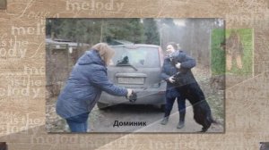 С Днём рождения!!! Ребята литеры Д !