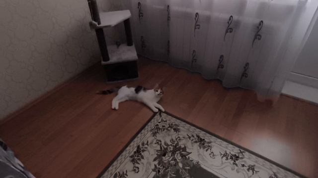 Любашины будни,что-то нету сил...Идём в банк ‼️ смотреть онлайн