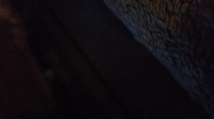 мой друг Микки собака я учил его команде сидеть вкусняшкой