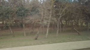 #191.Москва.Уехали в Крым "Крымское Приморье".Как здесь сейчас?Наш номер и столовая.