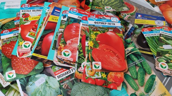 Семена томатов 2026 год