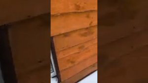 080226г кто пришелШерхан ждет