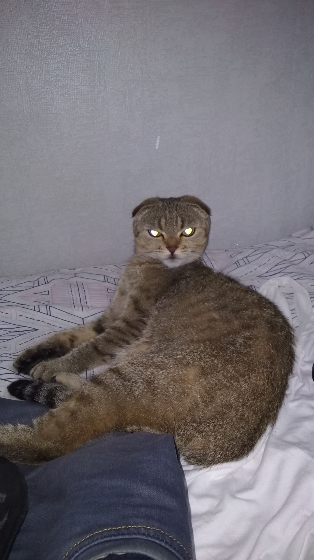 Кто просил побольше снега! 😉😃😜 смотреть онлайн