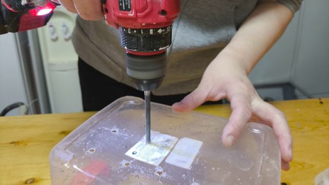 Романова Сахаяна Домашняя вермиферма