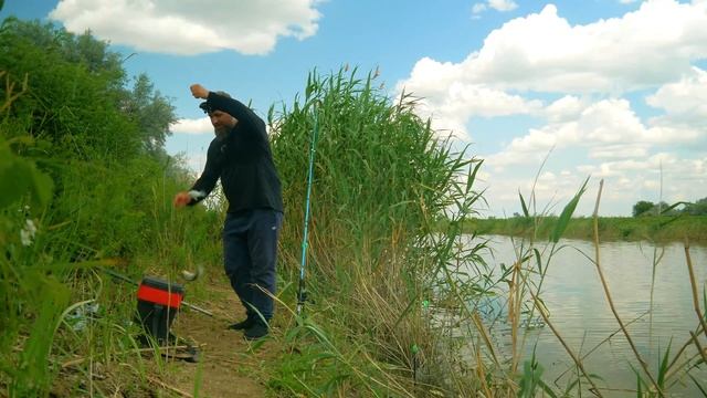 Очень уловистая снасть на поплавок! Рыбалка на поплавок! Ловля крупного карася! смотреть онлайн