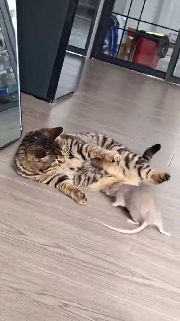 Охотник смотреть онлайн