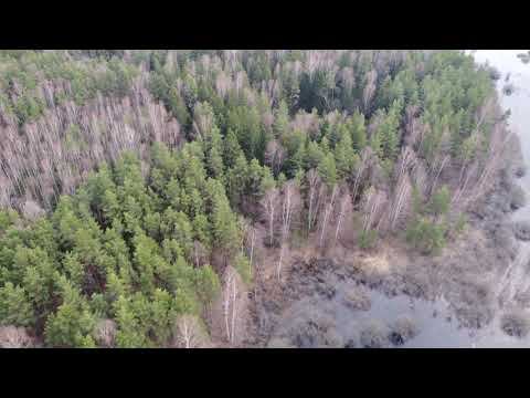 Поселок Фрол. Поселение Пышлинское. Река Ялма. Шатурский район. Московская область