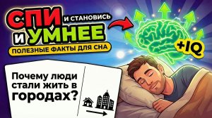 СПИ И СТАНОВИСЬ УМНЕЕ: почему люди воюют, как имя влияет на судьбу и зачем мы живём в городах?
