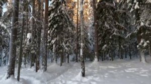 "Путь к тишине" авторская песня