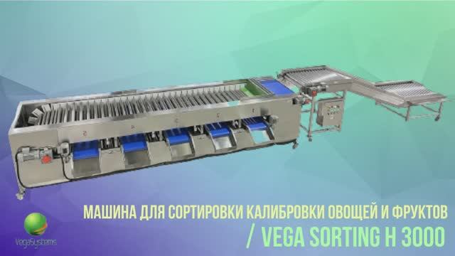 Машина для сортировки и калибровки картофеля, а так же других овощей и фруктов Vega Sorting H 3000 смотреть онлайн