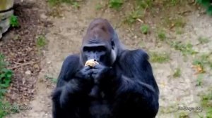 Для чего в городах - фермах начали устанавливать синие фонари.