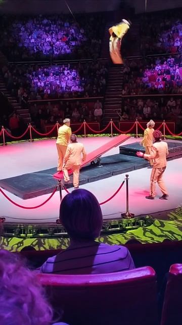 Супер акробаты смотреть онлайн