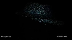 ВИЗИТЕРЫ НАЧАЛИ СБОР БИО - МАТЕРИАЛА С ФЕРМЫ .