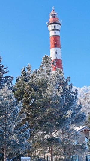 video_2026-02-09_13-41-06