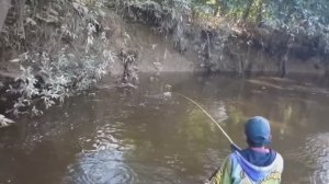 ЛОВЛЯ НА БАМБУКОВУЮ УДОЧКУ