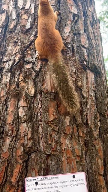 Каждое утро в нашем заведении начинается одинаково..