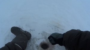 снасть питерская балда