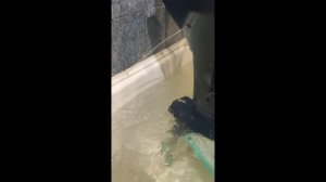 (2) Suzuki DT15, работа двигателя и системы охлаждения в ванной)