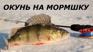 КАК ЛОВИТЬ ОКУНЯ на МОРМЫШКУ в ФЕВРАЛЕ ? СНАСТИ для РЫБАЛКИ на ОКУНЯ ЗИМОЙ!