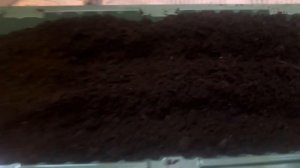 Выходной в ритме жизни: готовка  и вечерняя прогулка