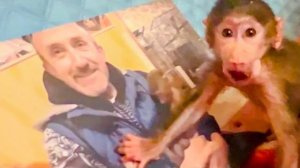 Степа УЗНАЛ ПАПУ на картине и хочет его от туда ДОСТАТЬ)))