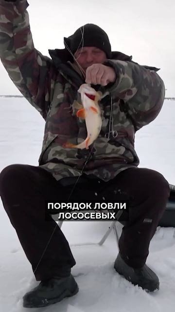 😳🐟 Где нельзя ловить рыбу смотреть онлайн