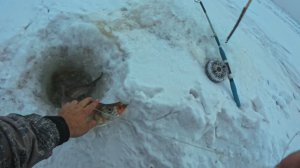 С Наступающим 2026 Новым Годом! Зимняя рыбалка 29.12.2025 Проверка перемёта