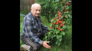 Конференция Железова В. К.  на ресурсе Ольги Корябкиной от 31.01.2026. Часть 4.