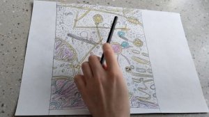 Клетка человека🙂Как выглядит?Максим рассказывает и показывает.